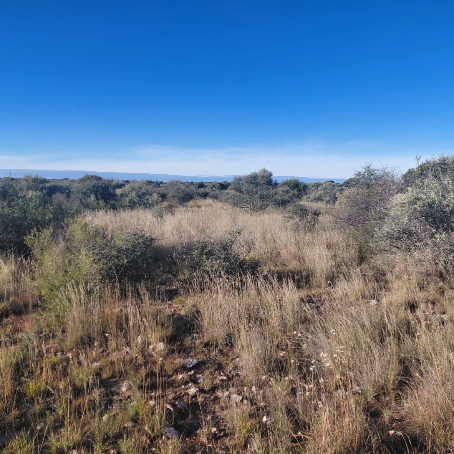 Commercial Property for Sale in Barkly West Rural Northern Cape
